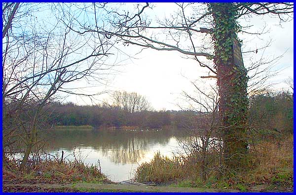 Pond near Stanton Bridge
