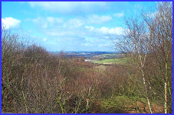 The View From Stapleford Hill