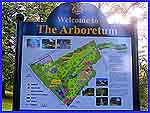 Welcome To The Arboretum