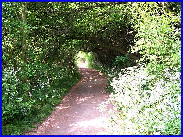 Tunnel-like Path