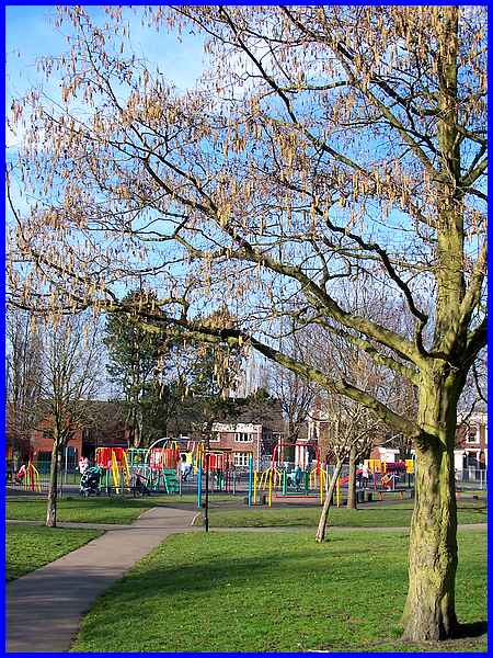 Catkins & Play Area