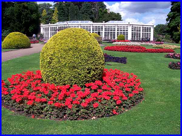 Colourful Flower Beds
