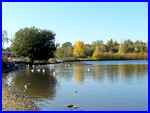 Swan Lake Nature Reserve