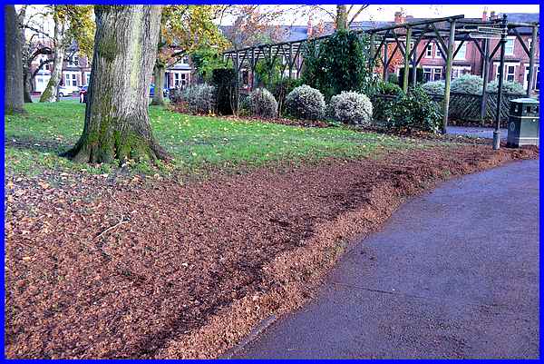 Leaf Mould