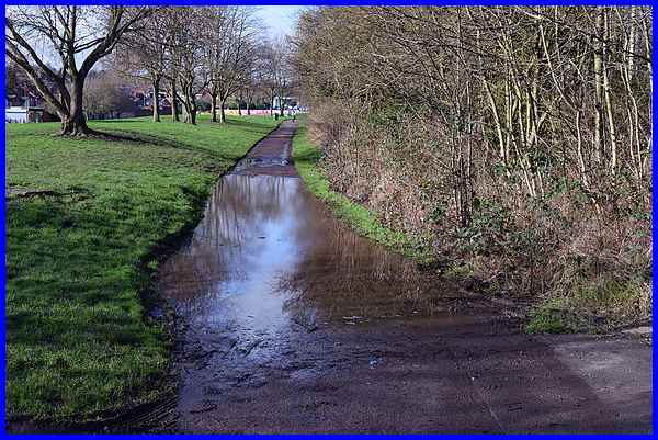 Standing Water