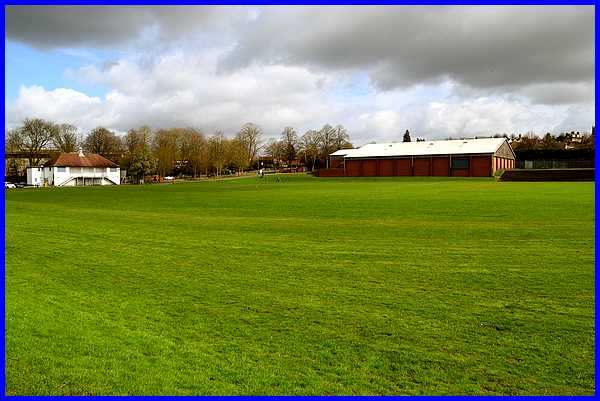 Cricket Pitch