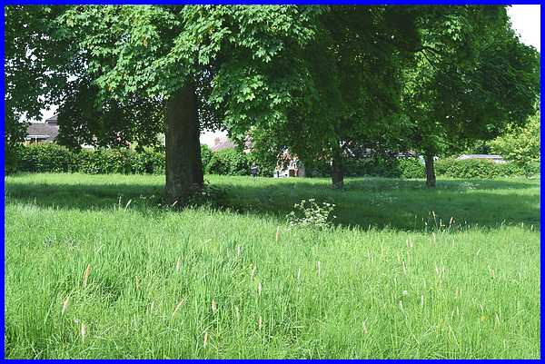 Towards Vincent Avenue