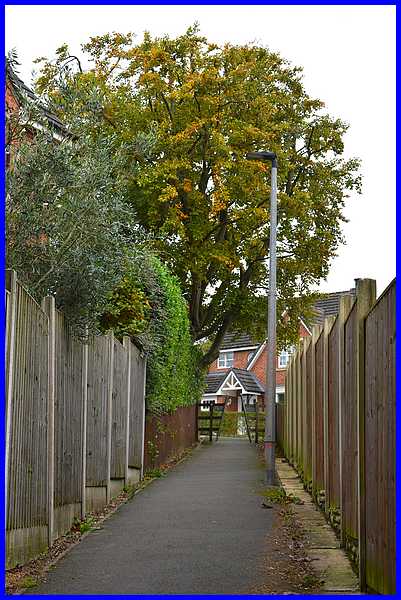 Footpath