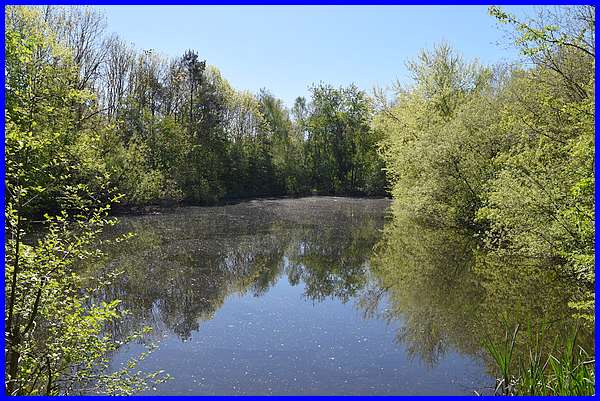 Smallest Pond