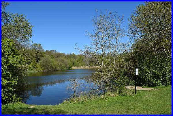 Middle Pond