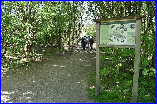 To the Nutbrook Trail