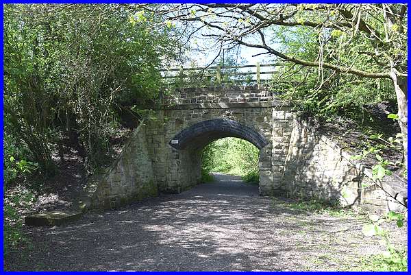 Bridge