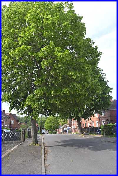 St John's Road