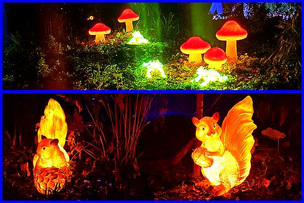 Toadstools & Squirrels