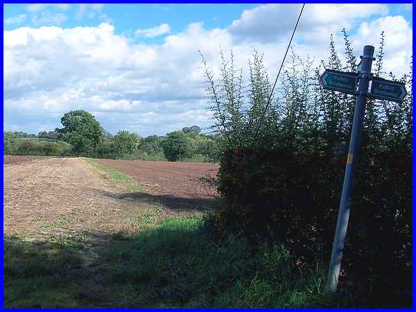 Field Crossing