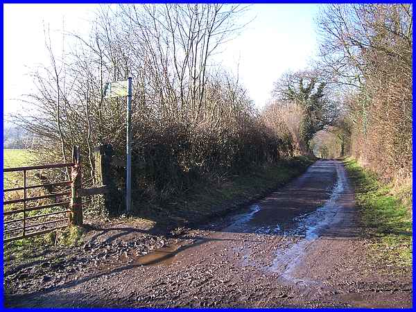 Mill Lane