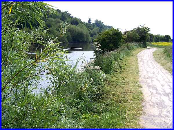 Riverbank Path