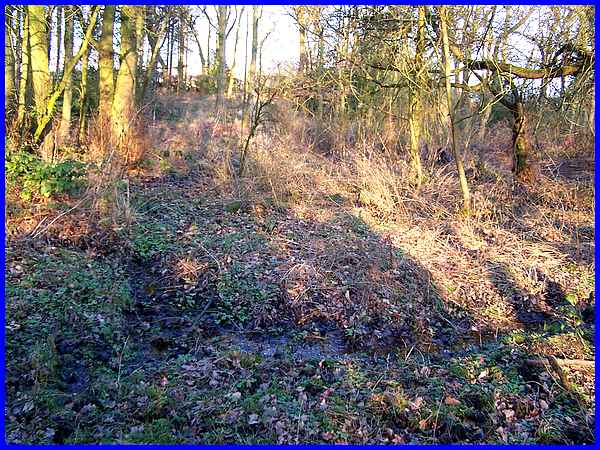 Mapperley Brook