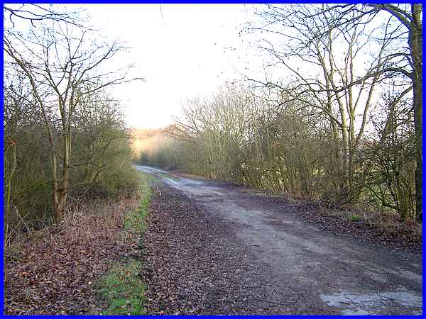 Embankment Track