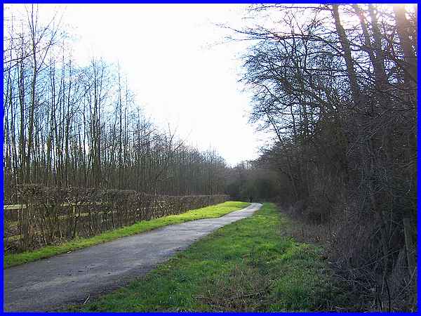 The Nutbrook Trail