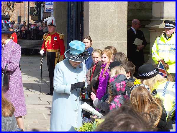 Presentation Of Flowers