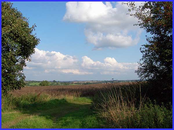 Morley Landscape