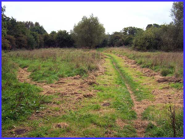 Kirk Hallam Meadows