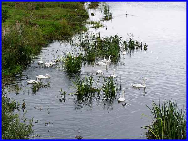 River Trent