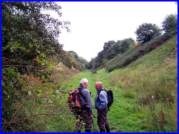 Breadsall SSSI