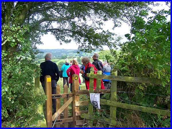 Surveying The Landscape