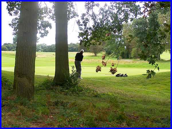 Breadsall Priory Golfer