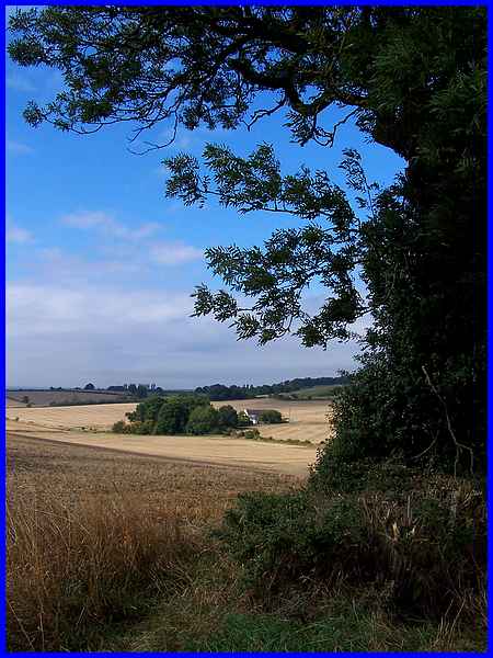 Risley Farmland