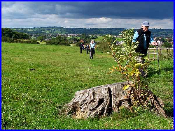 Towards Openwoodgate