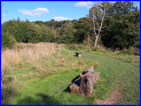 Millennium Nature Reserve