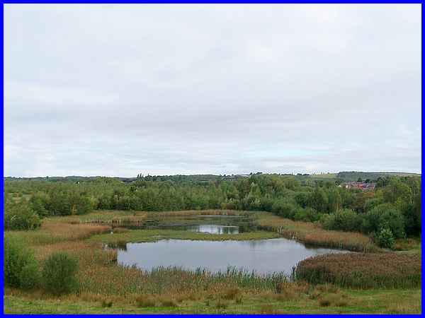 Forge Nature Reserve