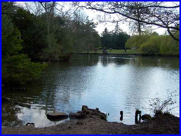 Across The Lake