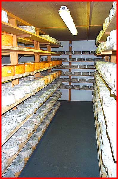 The Storeroom