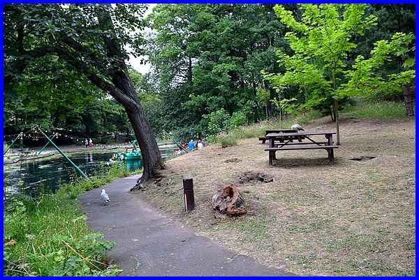 Picnic Area