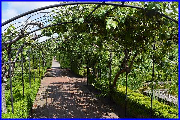 Arbour