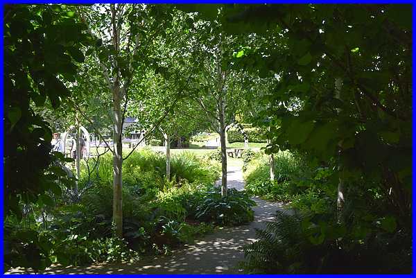 Millennium Garden