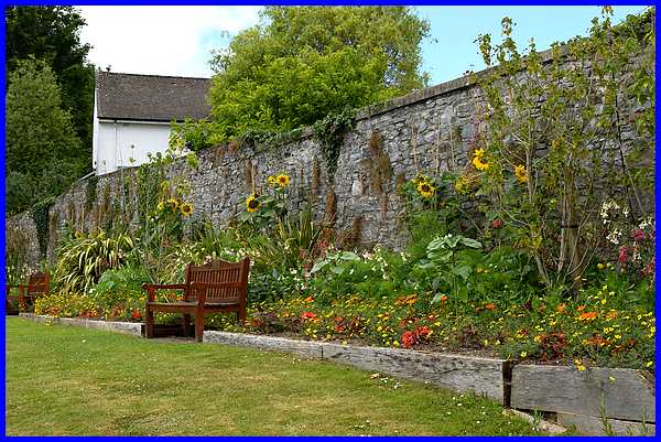 Eye-catching Border