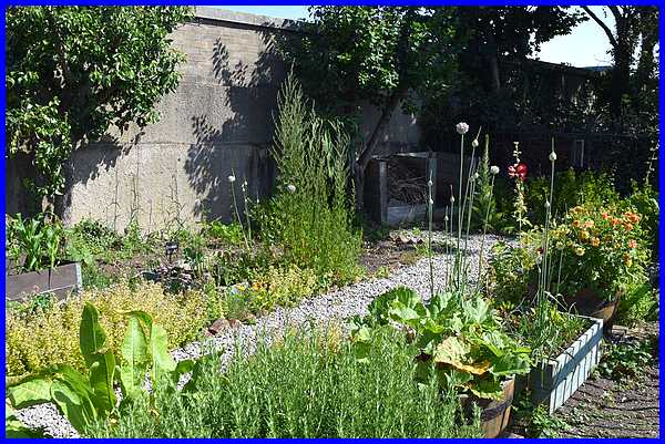 Incredible Edible Garden