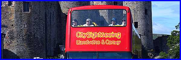 CitySightSeeing Bus