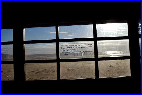 Window In Shelter