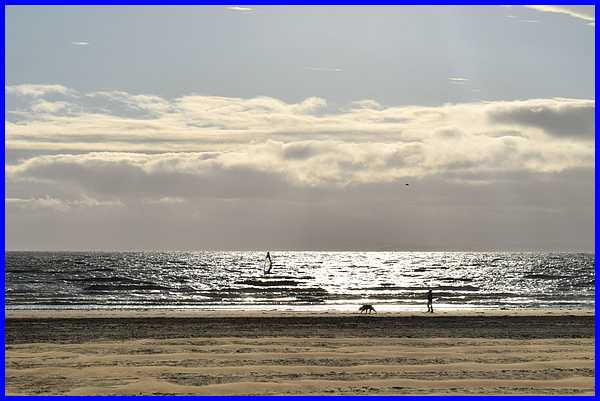 Man & Dog