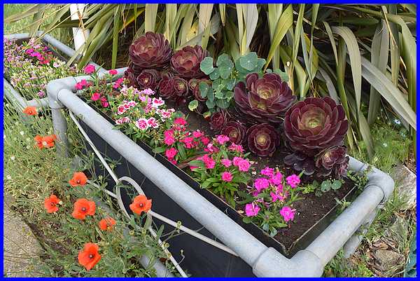 Flower Trough