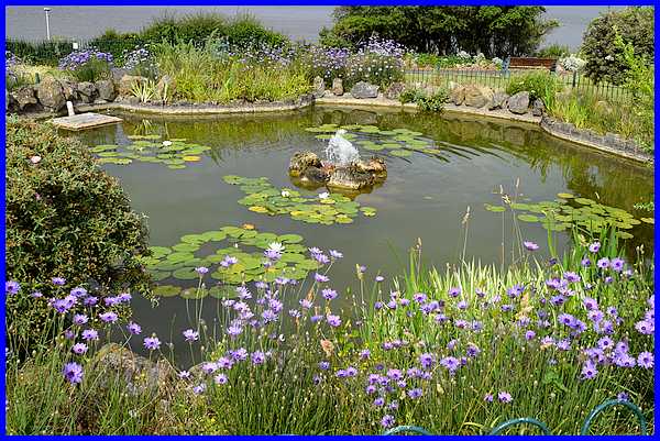 Circular Pond