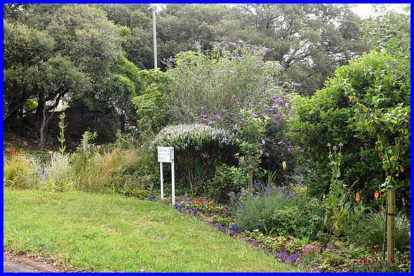 To The Wildlife Area