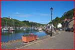 "Olde Worlde" At Lower Fishguard