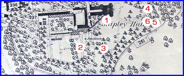 Nineteenth Century Map
